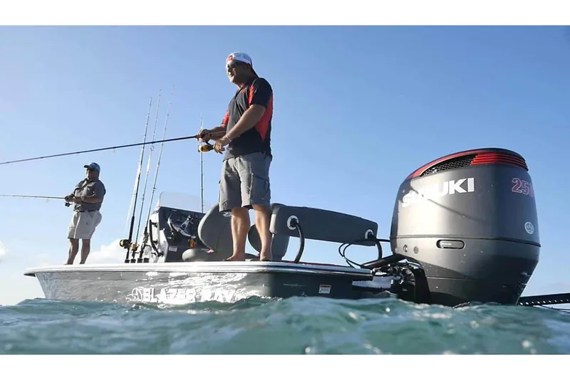 Slide: The Image of Manufacturer Provided Image - 20