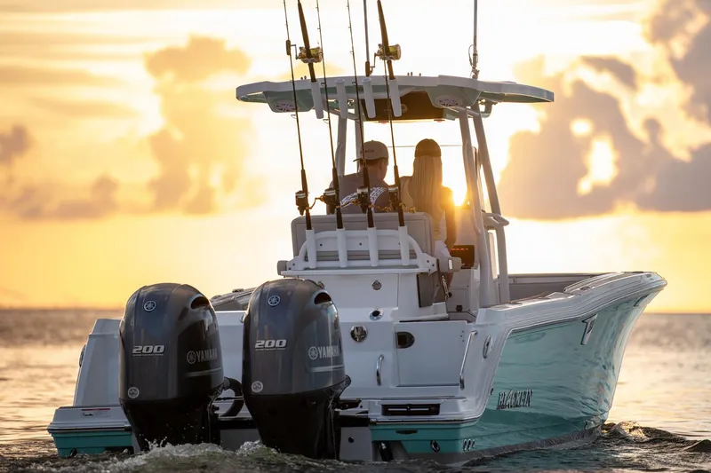 Slide: The Image of Manufacturer Provided Image - 4