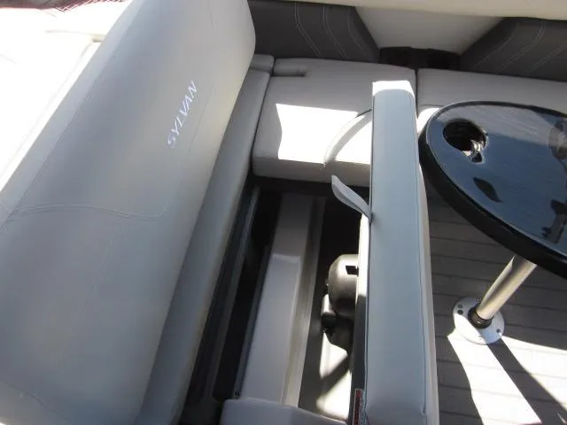 Slide: The Image of Sylvan Mirage 822 CLZ 2025 - 19