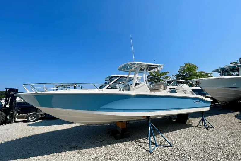 Slide: The Image of Boston Whaler 250 Dauntless 2026 - 24