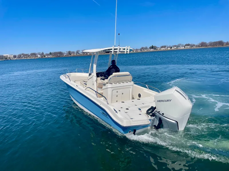 Slide: The Image of Boston Whaler 250 Dauntless 2026 - 2