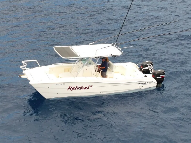 The Image of 2009 World Cat 270 TE boat on open water, featuring fishing rods and canopy. - 1