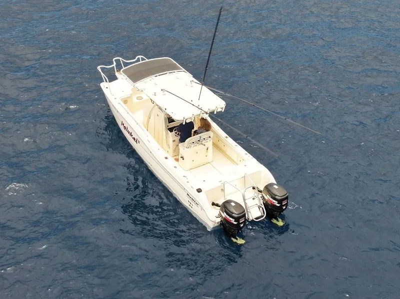 Slide: The Image of 2009 World Cat 270 TE boat on open water, aerial view. - 3