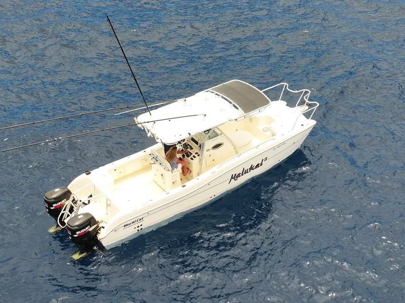 Slide: The Image of 2009 World Cat 270 TE boat on open water, featuring dual engines and a covered cockpit. - 4
