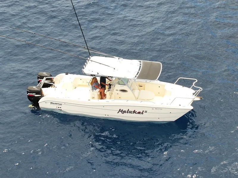 Slide: The Image of 2009 World Cat 270 TE boat on open water, aerial view. - 5