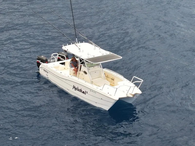 Slide: The Image of 2009 World Cat 270 TE boat on open water, featuring dual outboard motors. - 6