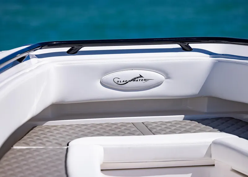 Slide: The Image of 2025 Blackwater 43 Sportfish boat interior with logo, featuring sleek white seating. - 12