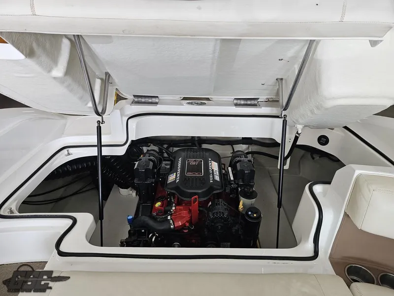 Slide: The Image of Cobalt 232 2009 - 72