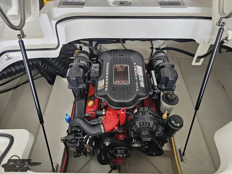 Slide: The Image of Cobalt 232 2009 - 73