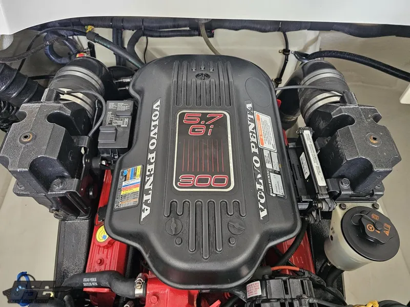 Slide: The Image of Cobalt 232 2009 - 74