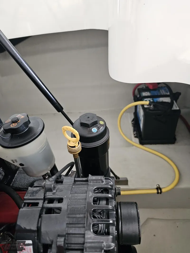 Slide: The Image of Cobalt 232 2009 - 75