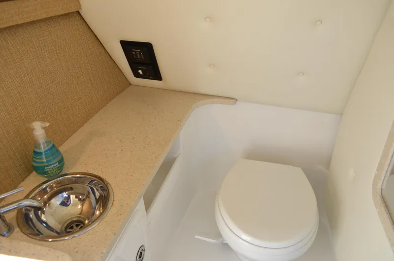 Slide: The Image of Cobalt 296 2013 - 26