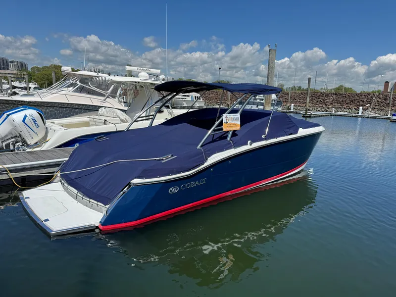 Slide: The Image of Cobalt 296 2013 - 7