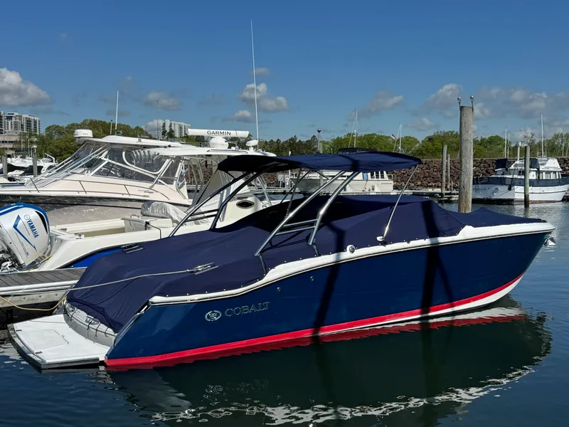 Slide: The Image of Cobalt 296 2013 - 8