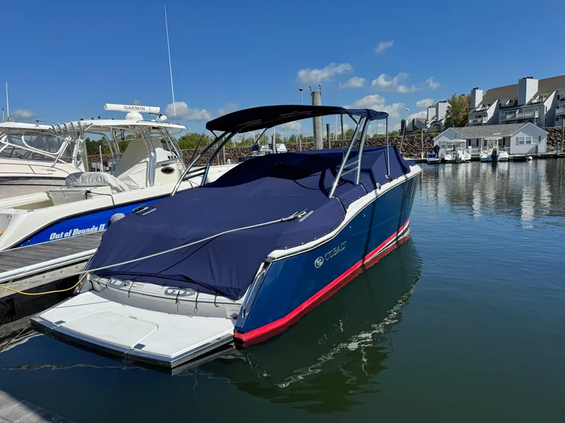 Slide: The Image of Cobalt 296 2013 - 9