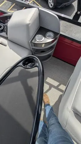 Slide: The Image of Regency 250 DL3 2025 - 16