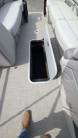 Slide: The Image of Regency 250 DL3 2025 - 40