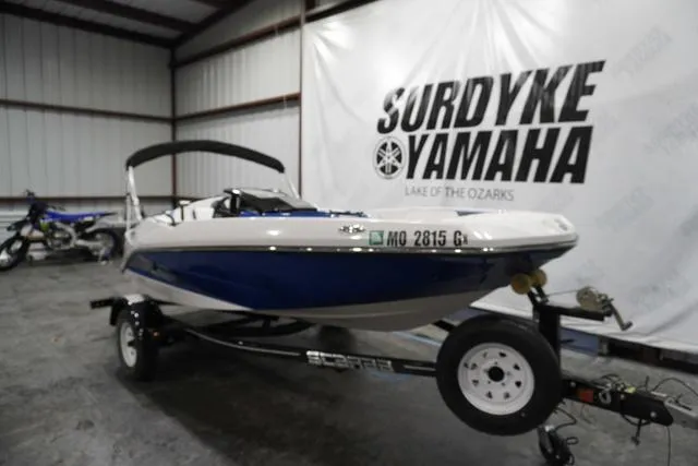 Slide: The Image of Scarab 165 ID 2019 - 2