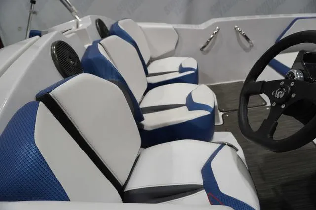 Slide: The Image of Scarab 165 ID 2019 - 5