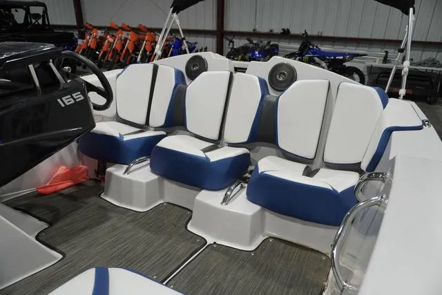 Slide: The Image of Scarab 165 ID 2019 - 8