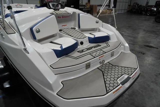 Slide: The Image of Scarab 165 ID 2019 - 9