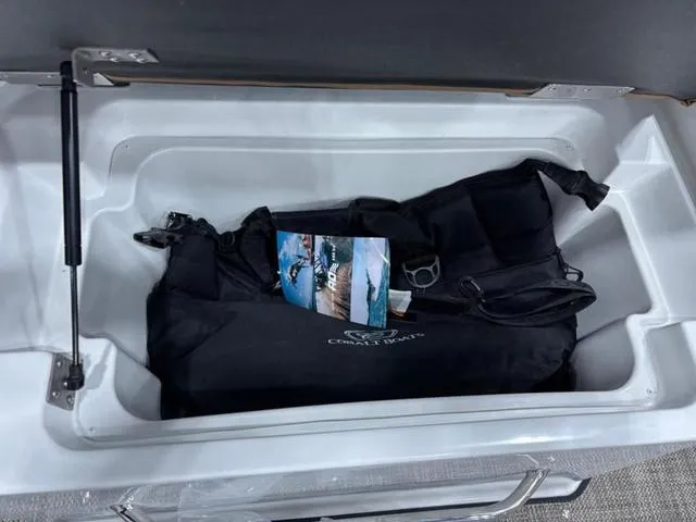 Slide: The Image of Cobalt R6 2025 - 11