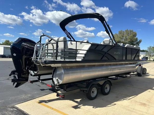 Slide: The Image of Sylvan L3 DLZ 2024 - 23