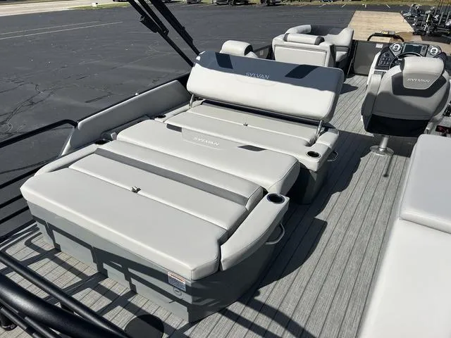 Slide: The Image of Sylvan L3 DLZ 2024 - 7