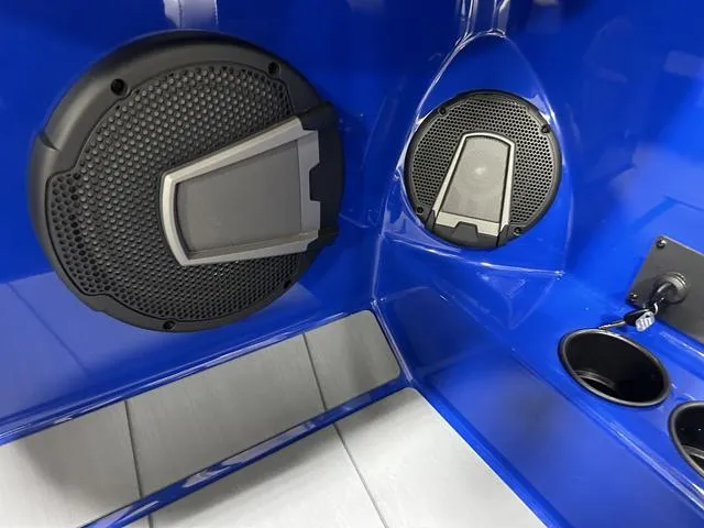 Slide: The Image of Axis T235 2024 - 12