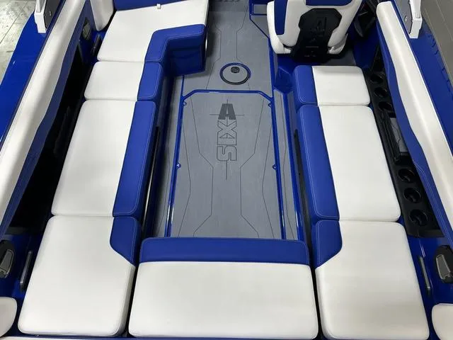 Slide: The Image of Axis T235 2024 - 8