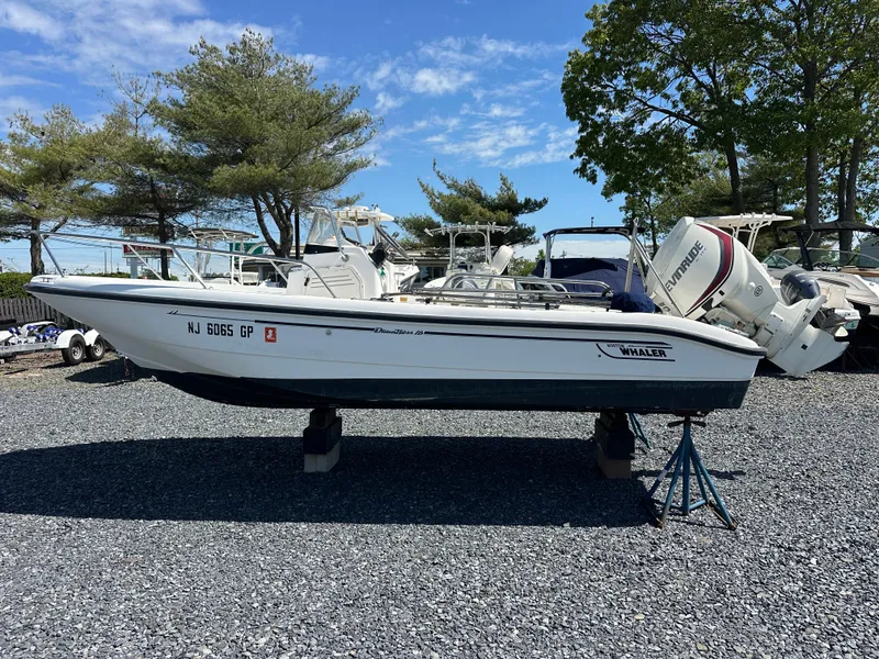 Slide: The Image of 2001 Boston Whaler DAUNTLESS boat on display outdoors, surrounded by trees and other boats. - 18