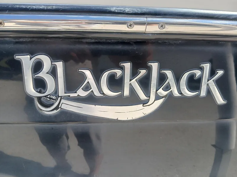 Slide: The Image of BlackJack 224 logo on a 2013 model, featuring bold silver lettering on a dark background. - 13