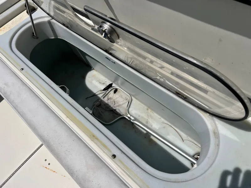 Slide: The Image of Hydra-Sports 2900 Vector CC 2007 - 5