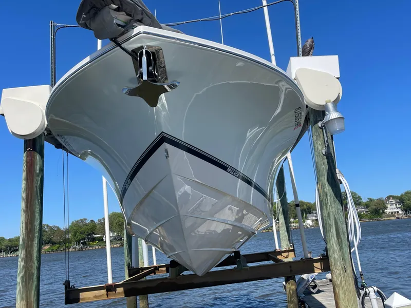 Slide: The Image of Regulator Marine 28 2022 - 74