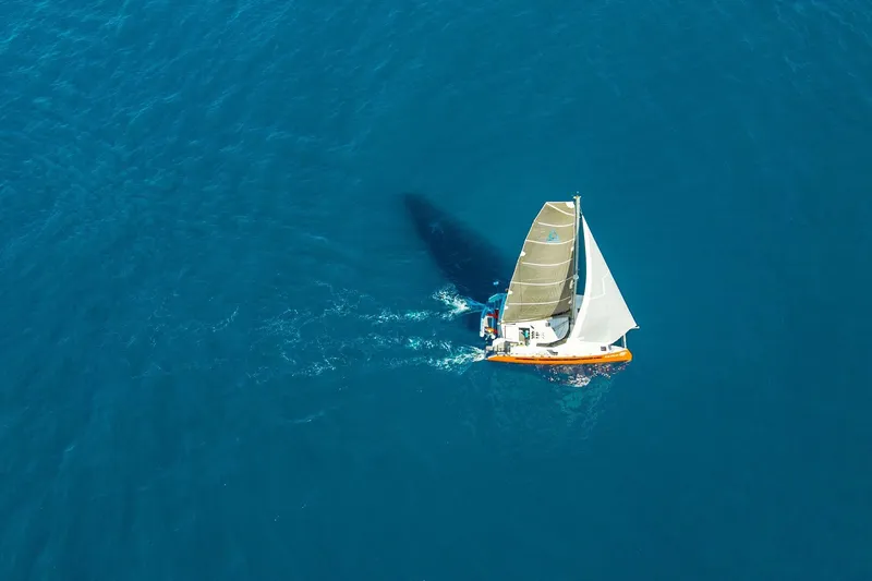 Slide: The Image of Aerial view of Balance 482 sailboat navigating clear blue ocean waters. - 164