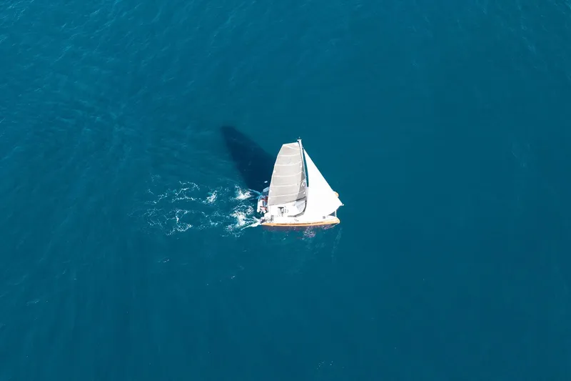 Slide: The Image of Aerial view of Balance 482 sailboat navigating clear blue waters, 2021 model. - 172