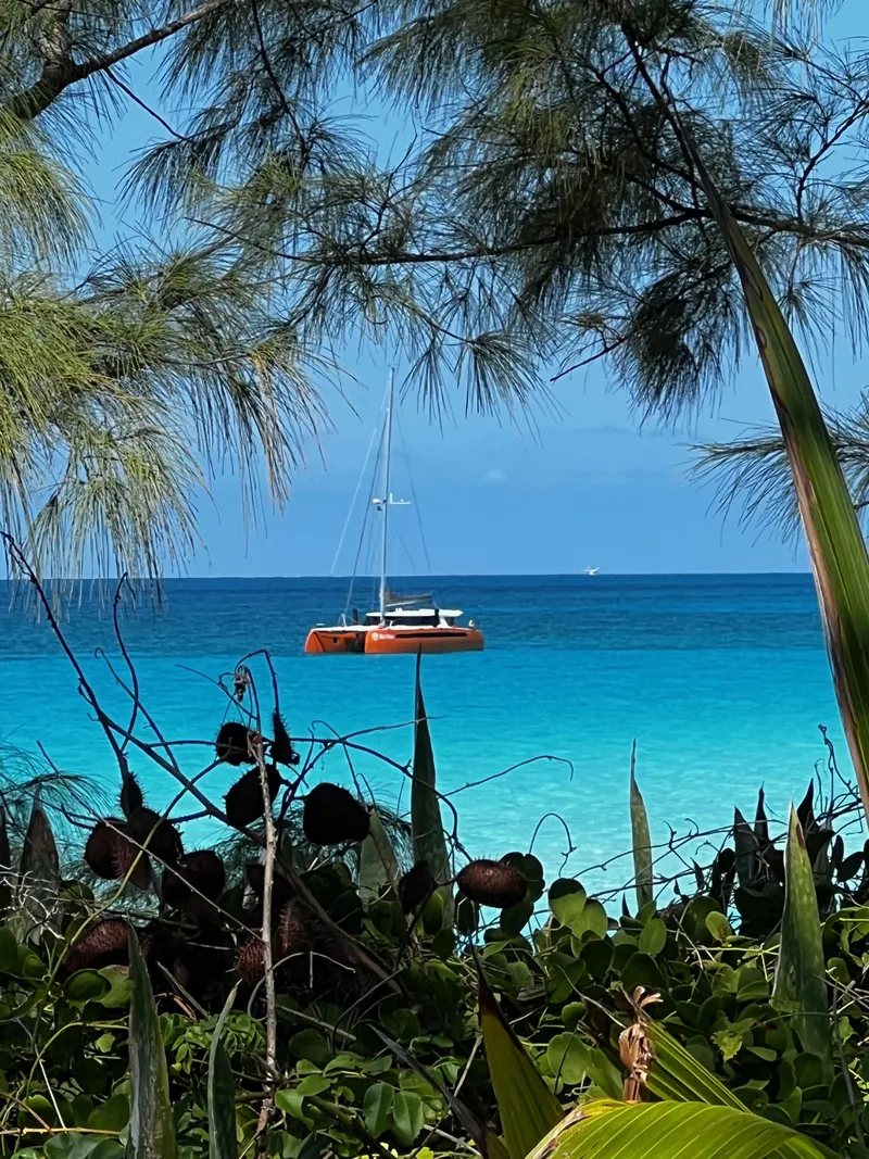 Slide: The Image of Balance 482 2021 - 173