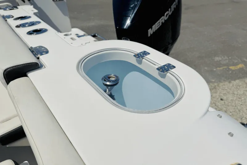 Slide: The Image of Sailfish 245 DC 2022 - 11