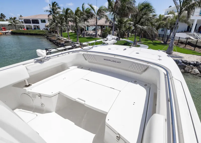 Slide: The Image of 2024 World Cat 260CC boat docked by palm trees and waterfront homes. - 6