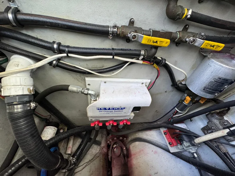 Slide: The Image of Northern Bay 36 2009 - 93