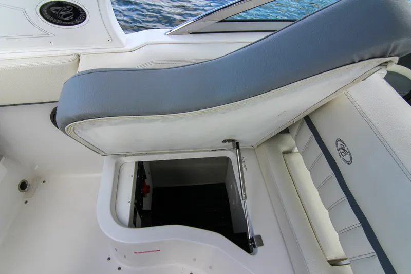 Slide: The Image of Cobalt 25SC 2021 - 52