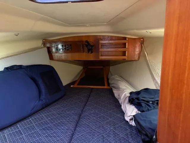 Slide: The Image of Hunter 33 2006 - 33