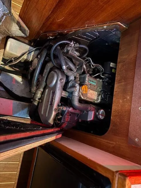 Slide: The Image of Hunter 33 2006 - 39