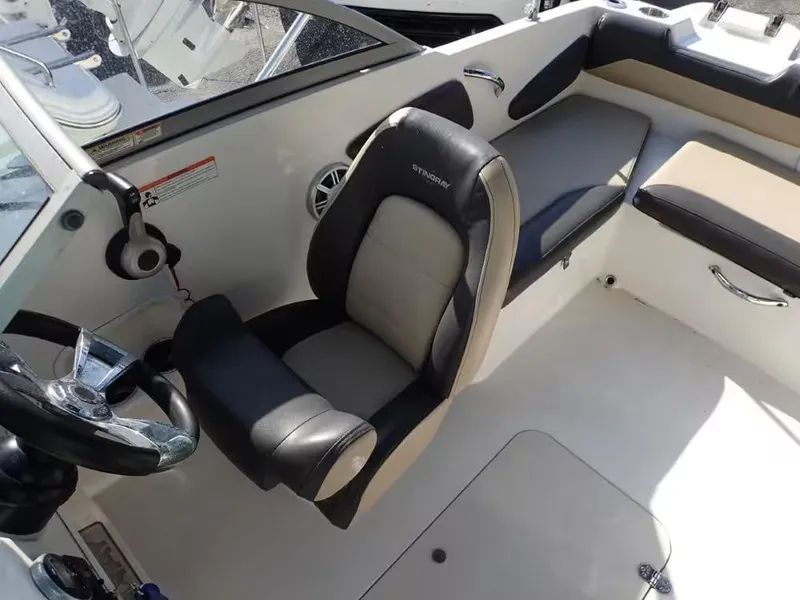 Slide: The Image of Stingray 191 DC 2018 - 4