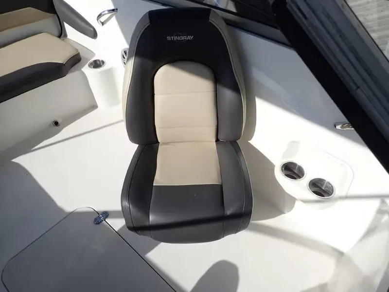 Slide: The Image of Stingray 191 DC 2018 - 9