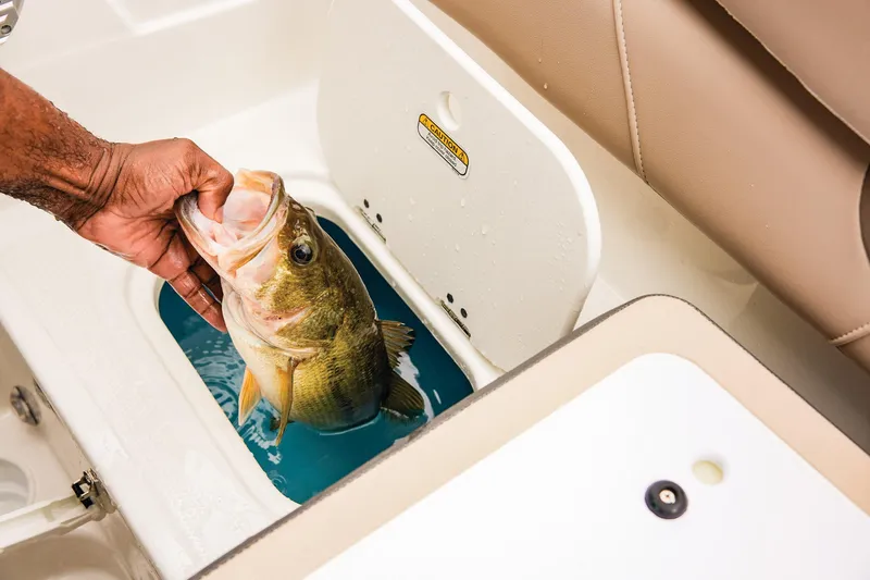 Slide: The Image of Tahoe 185 S 2025 - 89