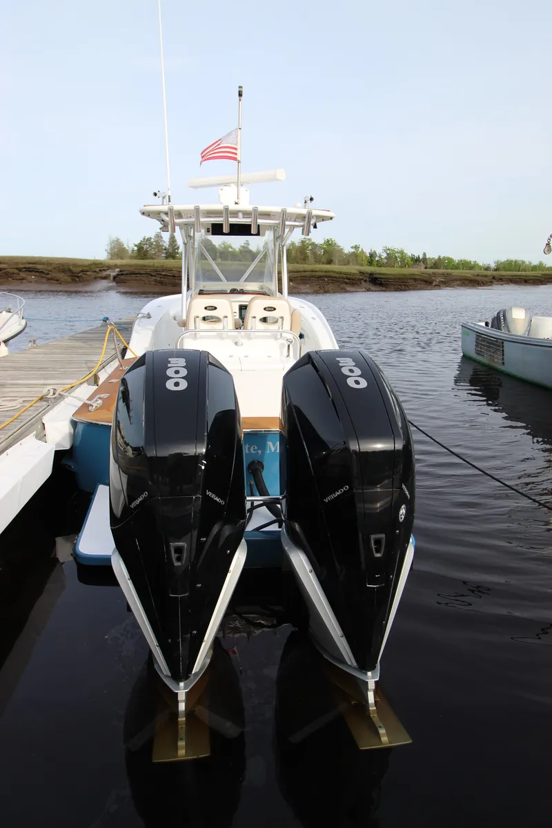 Slide: The Image of Winter Custom 27 2009 - 16