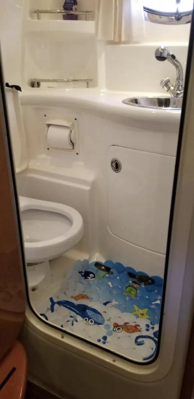 Slide: The Image of Chaparral 310 Signature 2008 - 34