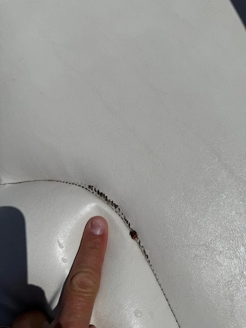 Slide: The Image of Close-up of a 2008 Regal 2750 boat seat with visible seam damage. - 13