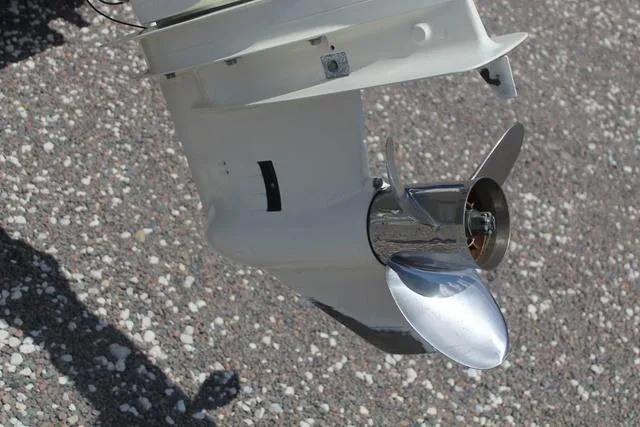 Slide: The Image of Sea Born LX22-CC 2019 - 11